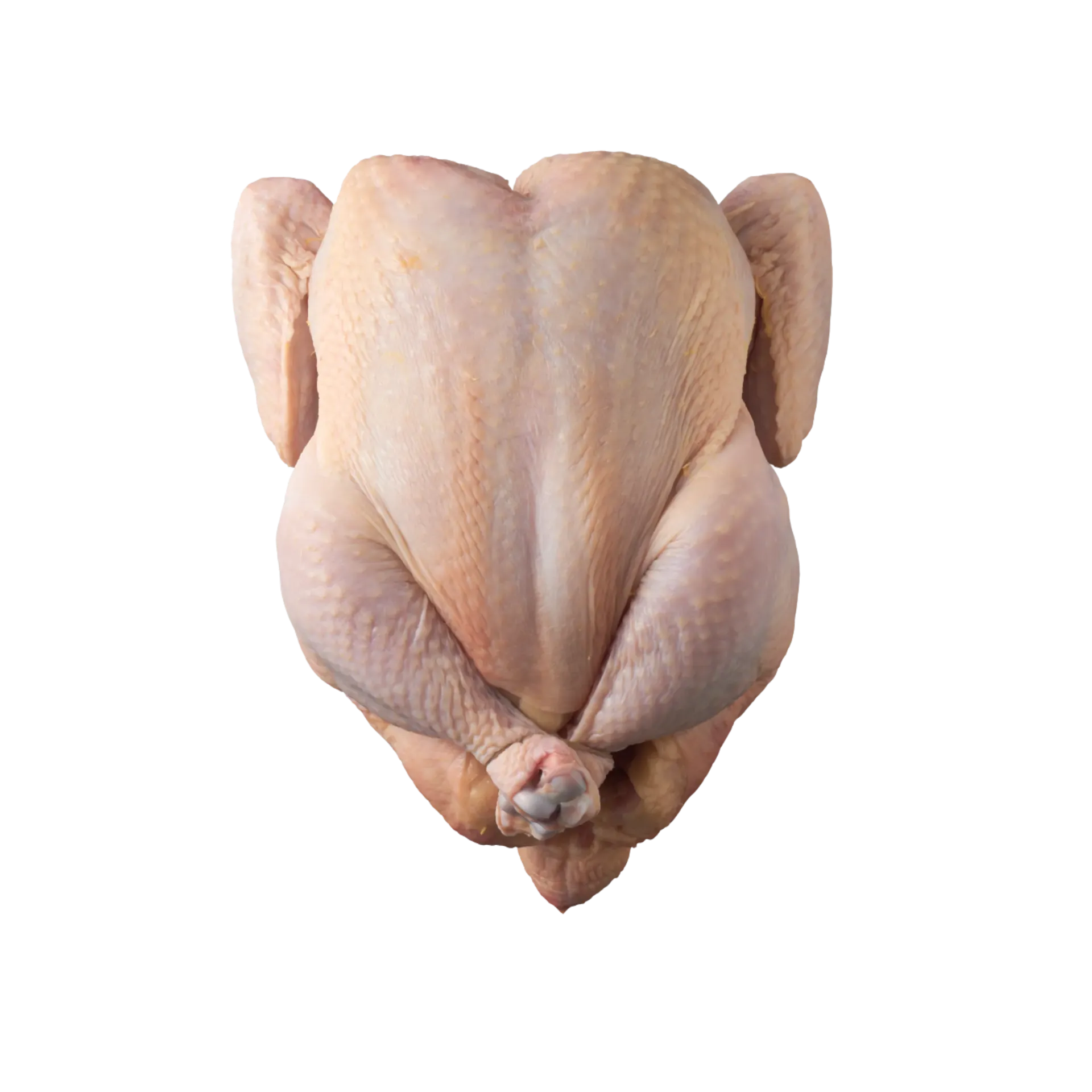FULL CHICKEN 1kg-1.2kg