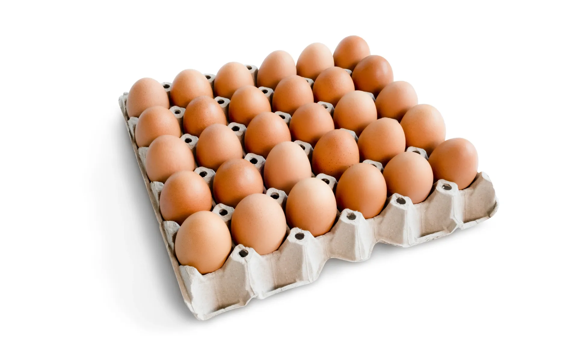 TRAY OF EGGS